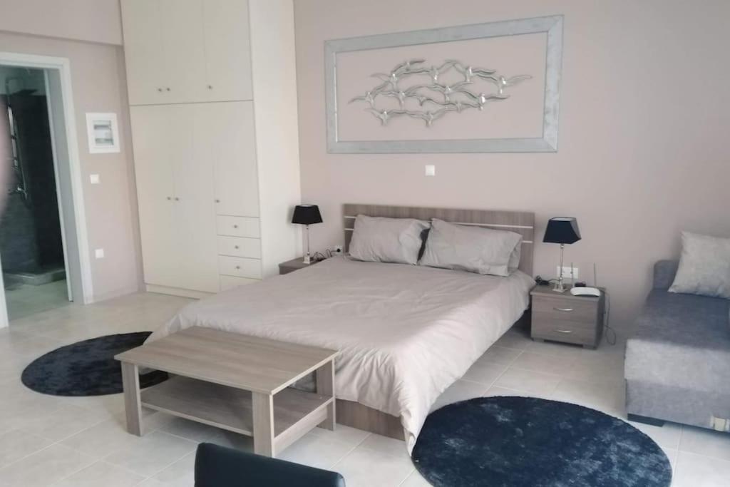 Brand New Spacious Studio 伊第亚 外观 照片
