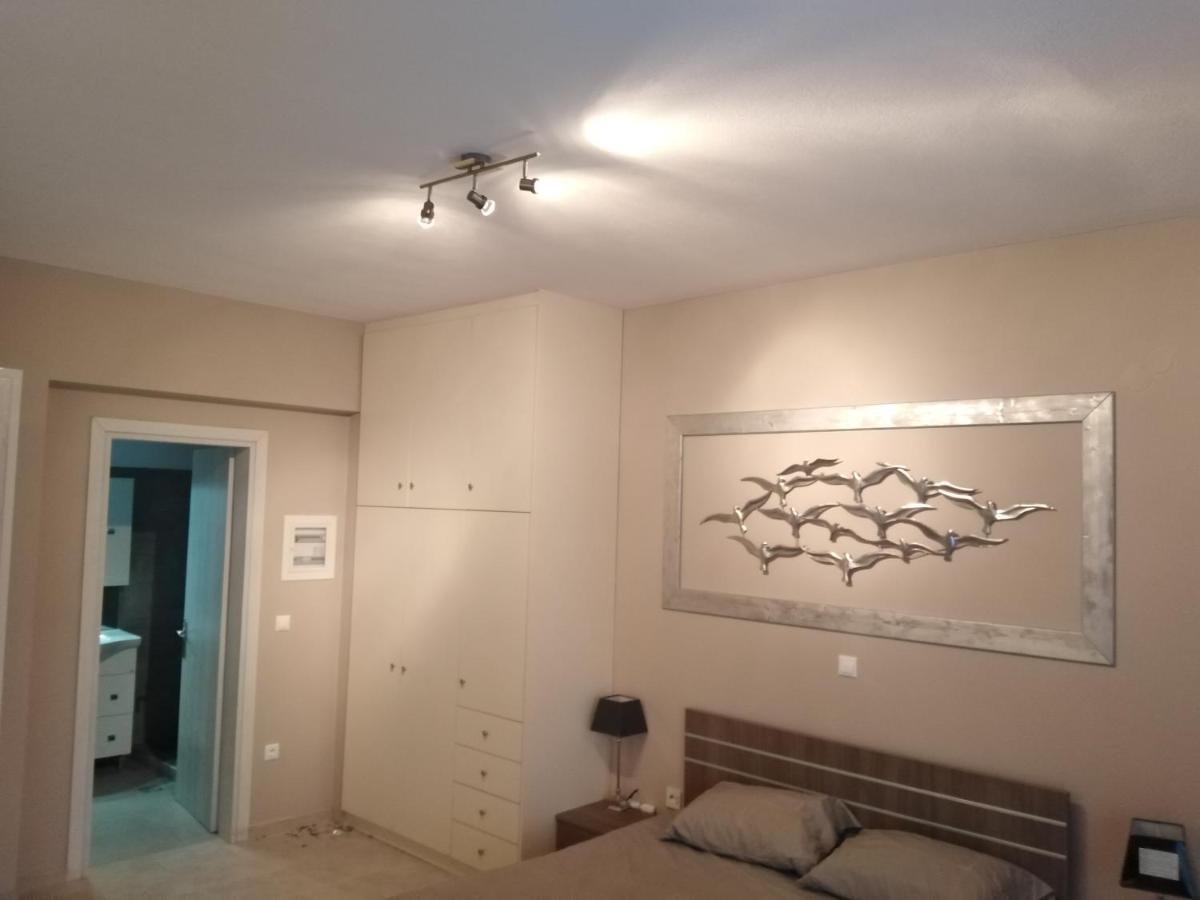 Brand New Spacious Studio 伊第亚 外观 照片